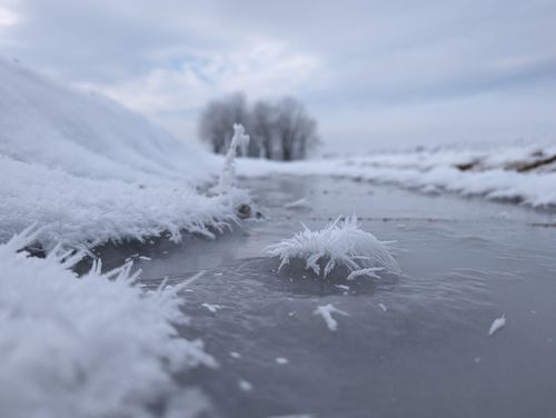 Eiskristalle um eine gefrorene Pfütze an einem Feldweg bei Jugenheim