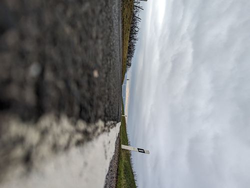 Landstraße durch die Weinlage Sonnenberg bei Vendersheim