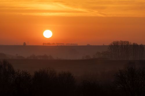 Sonnenaufgang über den Weinbergen bei Jugenheim