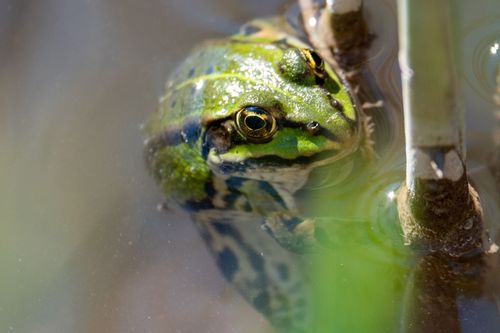 2024-05-09_19-58-25_02