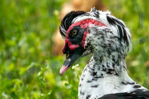 2024-05-30_13-48-22_03