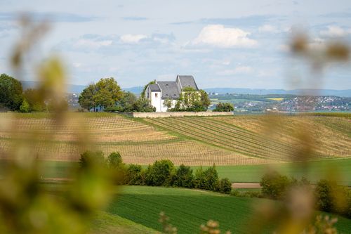 Ausblick auf die Bergkirche bei Udenheim