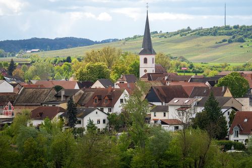 Blick aus dem Landschaftsschutzgebiet Bruchwiesen auf Stadecken-Elsheim