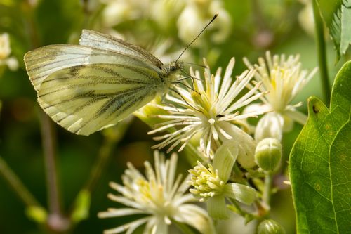 2024-07-07_19-18-36_02