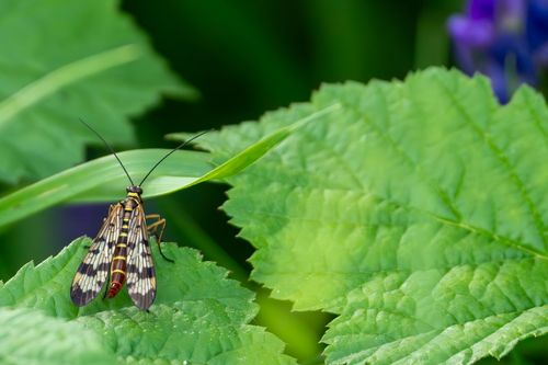 2024-08-08_20-49-56_02