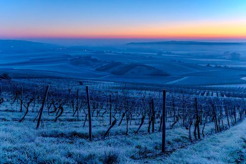 Morgendämmerung auf dem Bleichkopf bei Jugenheim