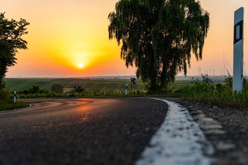 Sonnenuntergang auf der Landstraße von Dittelsheim-Heßloch nach Gau-Odernheim