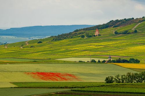 Blick von Sulzheim auf die Kreuzkapelle von Gau-Bickelheim am Wißberg